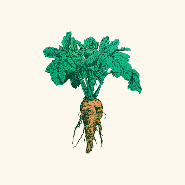 Horseradish