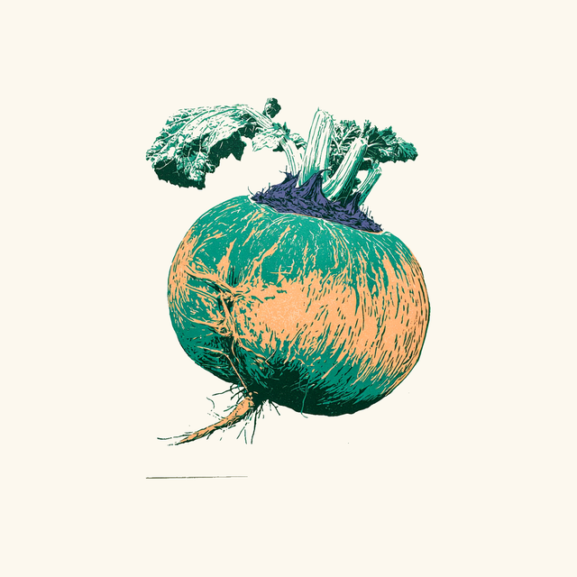 Swede