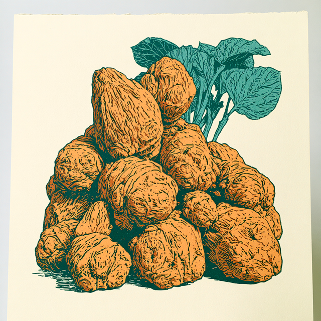 Jerusalem artichoke