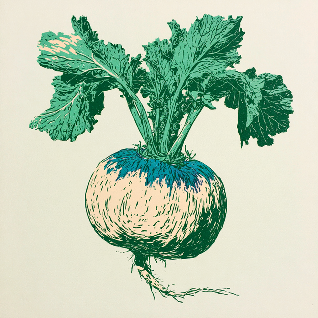 Turnip